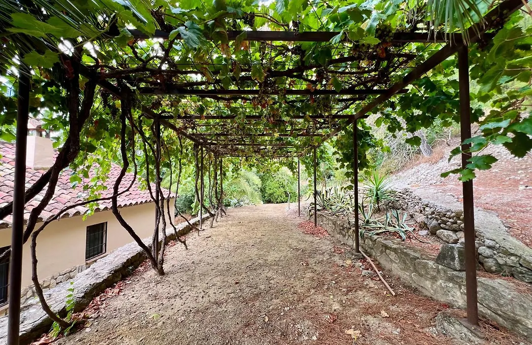 Huerta del Tajo-1